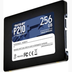Patriot SSD P210 256GB